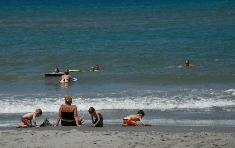 Un alga tóxica espanta turistas y asfixia la vida marina en Florida, EEUU