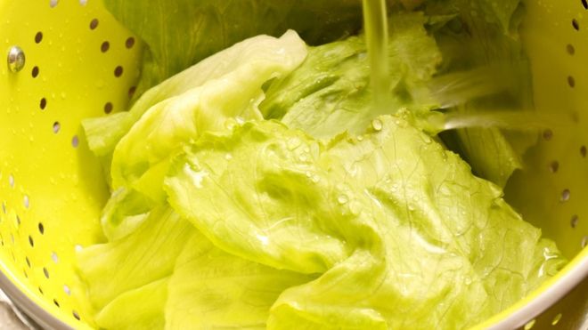 Cómo debemos lavar las verduras y hortalizas para prevenir infecciones o intoxicaciones