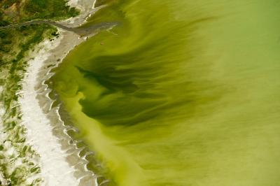 Espectacular florecimiento de algas en un lago de EE.UU. deja 130 personas intoxicadas